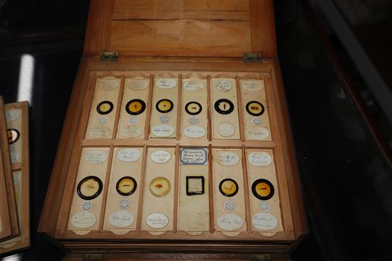 Two cases of scientific microscope slides many by Dareston, Birmingham